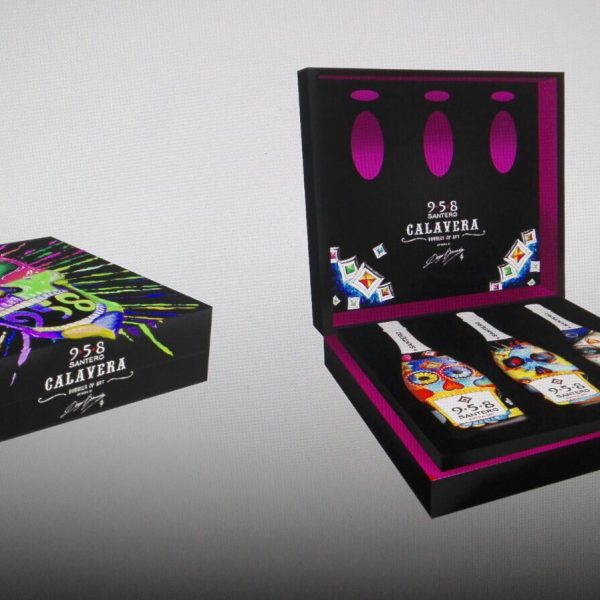 958 Santero calavera diego bormida artist bubble of art bottiglie dipinte wine prosecco (6)