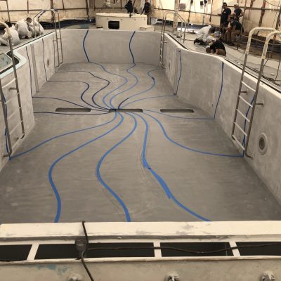 Carnival cruise Fantasy diego bormida artist pool chemco design epoxy resin precetti (8)