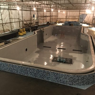 Precetti Carnival Elation Dry Dock Bahamas cruise swimming pool chemco diego bormida artist (135)