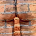 diego-bormida-bodypainting-04ttttt