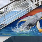 Caribbean Princess Cruises Diego Bormida Artist mural resin dipinti (106)