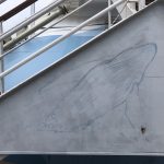 Caribbean Princess Cruises Diego Bormida Artist mural resin dipinti (97)